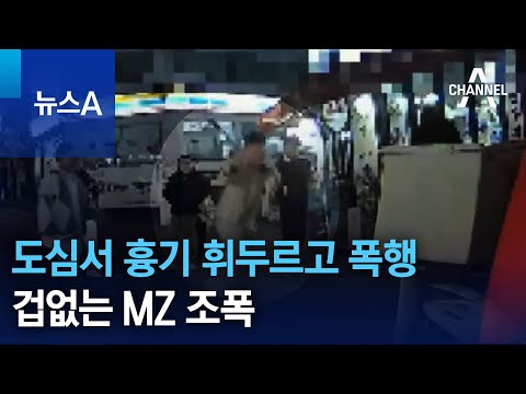 도심서 흉기 휘두르고 폭행&hellip;겁없는 MZ 조폭 | 뉴스A