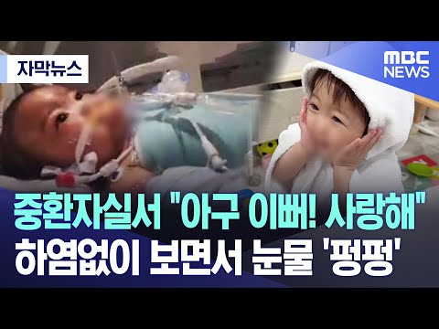 [자막뉴스] 중환자실서 &quot;아구 이뻐! 사랑해&quot; 하염없이 보면서 눈물 '펑펑' (2023.07.19/MBC뉴스)