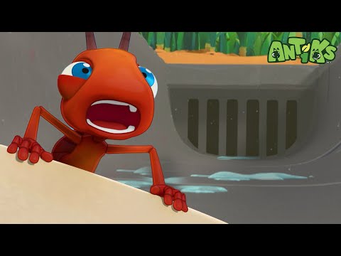 Insane in the Drain | 🐛 Antiks 🐜 | Funny Cartoons for Kids | Moonbug