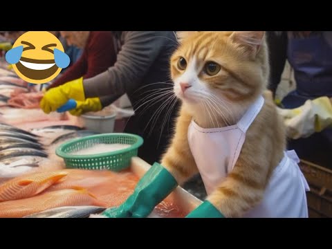 New Funny Videos 2023 😍 Cutest Cats and Dogs 🐱🐶 part 3