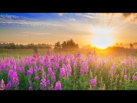 Guten-Morgen-Musik ★ Wake-Up-Musik, Die Positive Energie Boost ★ Ruhigen Morgen-Meditation Musik