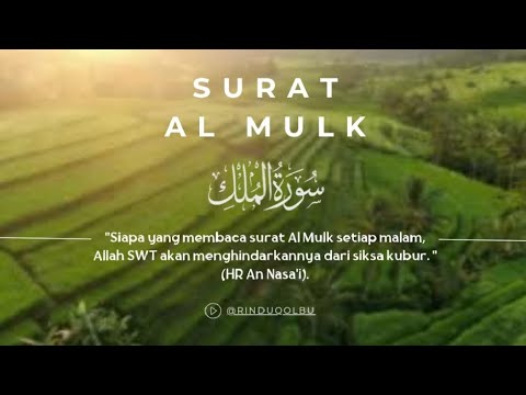 SURAT AL MULK MUROTTAL MERDU &quot;Terhindar Dari Siksa Kubur dan Mendapatkan Ampunan Allah SWT&quot; (repost)