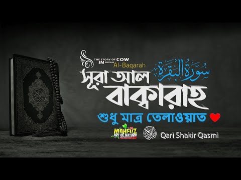 সূরা আল বাক্বারাহ  سورة البقرة তেলাওয়াত Surah Al Baqarah ❤ Qari Shakir Qasmi ▶ mahfuz art of nature