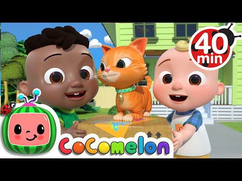 Cody Moves Next Door Song + More Nursery Rhymes &amp; Kids Songs - CoComelon