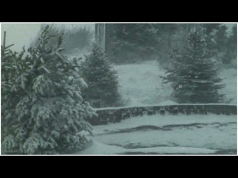 Epic Snowstorm┇24 Hours Version┇Howling Blizzard Sounds┇Heavy Wind┇Perfect Sounds For Sleep