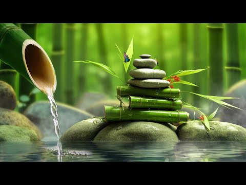 Bamboo, Relaxing Music, Meditation Music, Nature Sounds - Relaxing Piano Music &amp; Water Sounds 24/7