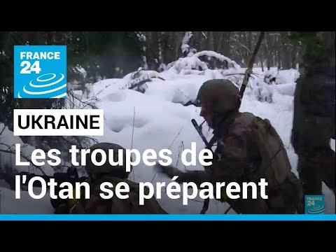 Crise ukrainienne : les troupes fran&ccedil;aises en exercice pour l'Otan en Estonie &bull; FRANCE 24