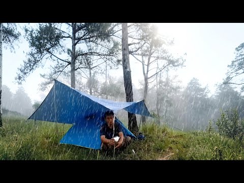 DRINK RAIN WATER -⛈️ SUPER HEAVY RAIN &amp; TUNDERSTORM - SHIELD IN A WARM TENT_ ASMR