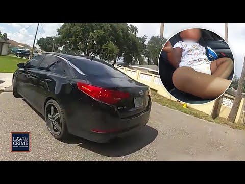 Overheated Baby in Stolen Car Rescued by Florida Cops