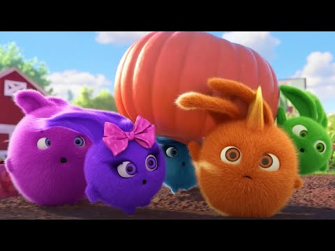 SUNNY BUNNIES - PUMPKIN FOR EVERYONE | SEASON 7 HITS | Cartoons for Kids