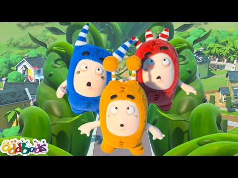 Jeff and the Beanstalk | Oddbods - Food Adventures | Cartoons for Kids