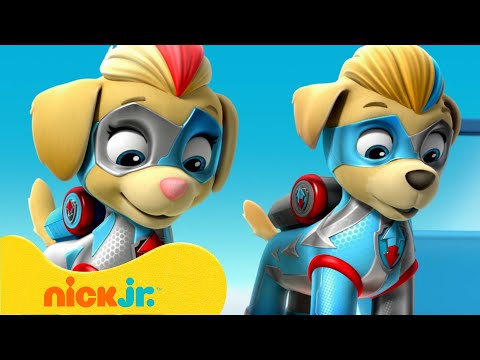 PAW Patrol | PAW Patrol Mighty Pups - Die besten Rettungsmissionen! | Nick Jr. Deutschland