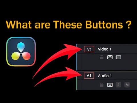 Button Explanation in DaVinci Resolve Timeline