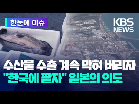 [한눈에 이슈] 수산물 수출 계속 막혀 버리자 &quot;한국에 팔자&quot; 일본의 의도 / KBS 2023.12.26.