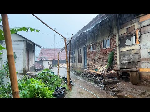 Heavy rainfall in indonesian Village||very heavy and coolness||indoculture