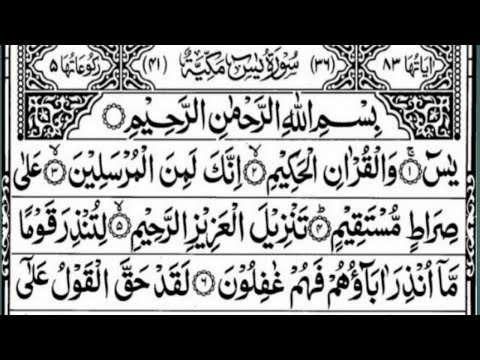 Surah Yaseen | Surah Yasin | Episode 216 | Daily Recitation Of Surah Yasin,Surah Rahman.