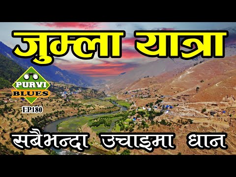 जुम्ला यात्रा || Trip to Jumla Nepal || मार्सी धानको रोपाईं || Jumla Chandannath &amp; Sinja Valley