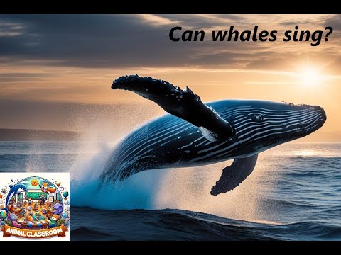 Whale Wonders: Fun Facts for Tiny Tots