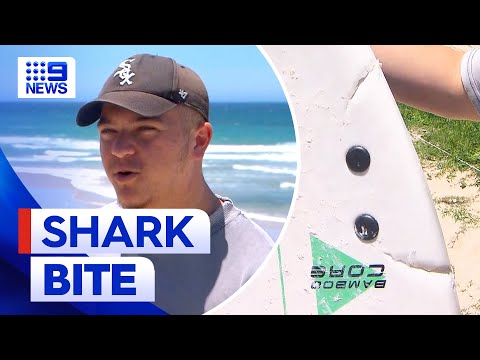 Teenager survives juvenile great white shark bite | 9 News Australia