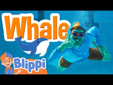 SD Scuba Diving: Underwater LOLs! ??| BLIPPI| Kids TV Shows | Cartoons For Kids | Fun Anime