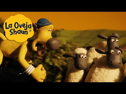 La Oveja Shaun 🐑 Persecuci&oacute;n de perros 🐑 Dibujos animados para ni&ntilde;os