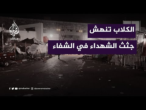 &amp;quot;الجثـ.ث تنهشها الكلاب في محيط دار الشفاء والاحتلال يرفض السماح  بدفنها&amp;quot;