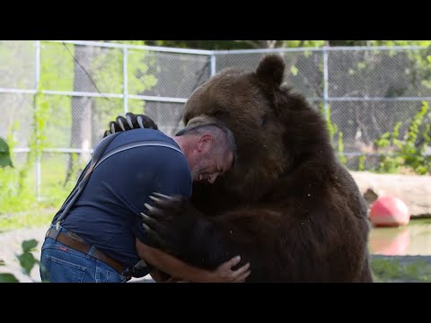 Animals Reunited With Their Owners After Years!