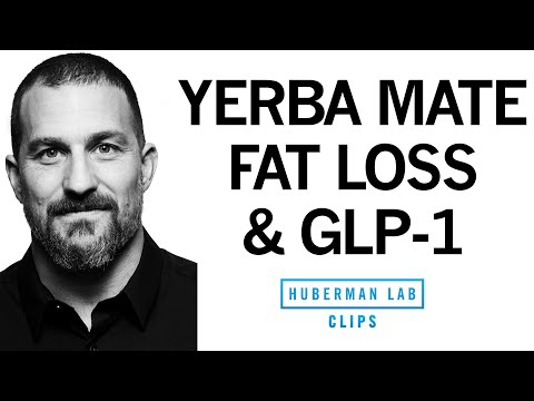 What is GLP-1 &amp; How Does It Reduce Appetite &amp; Promote Weight Loss? | Dr. Andrew Huberman