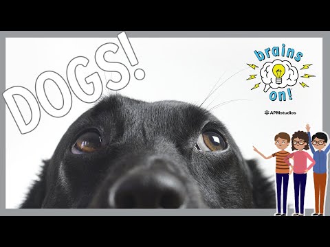 Do dogs know they're dogs? | Brains On! Science Podcast For Kids | Full Episode