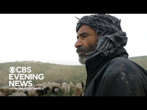 Palestinian shepherds in West Bank under attack by militant Israeli settlers