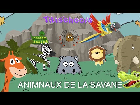 Animaux de la savane