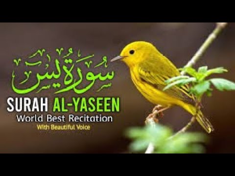 Surah Yaseen recitation in 10 minutes islam