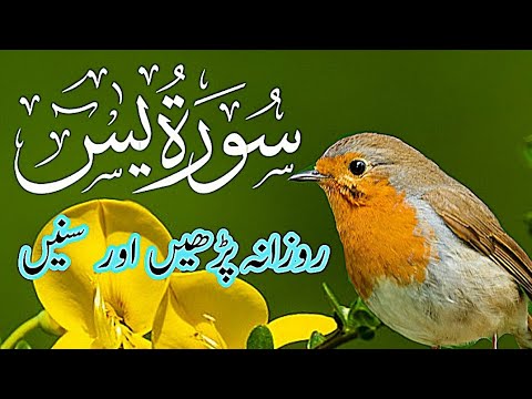 Surah Yaseen Full |سورۃ یاسین |Episode 0102| Quran Pak Tilawat Beautiful Voice &hearts;️