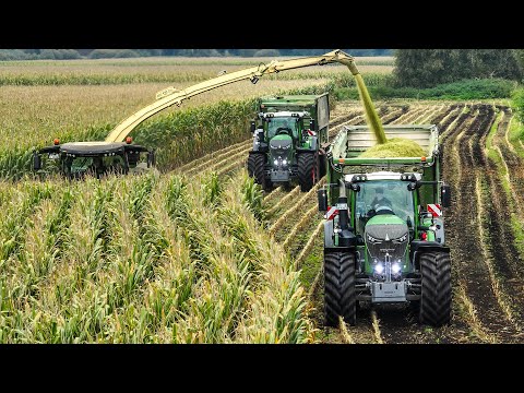 Mais 2023 - Krone BiG X 1180 | 4x Fendt 900 | Gro&szlig;e Bohne