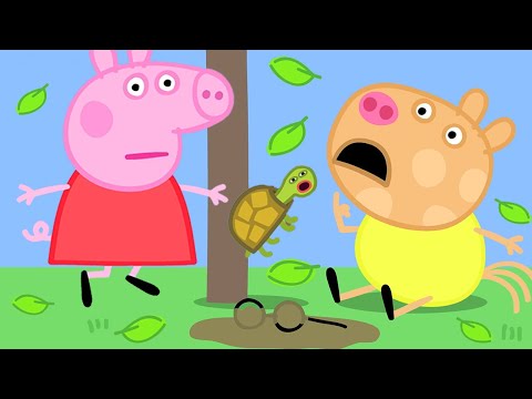 Peppa Pig and the Climbing Tortoise! | Peppa Pig Official Family Kids Cartoon