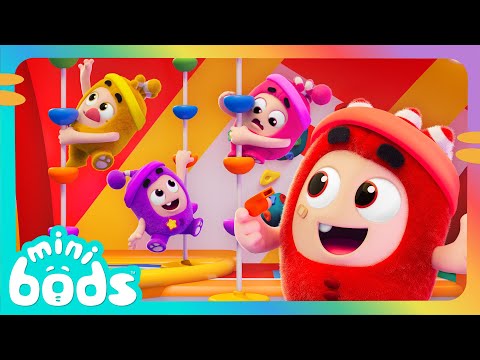 Winner 🌟 | Minibods | Preschool Cartoons