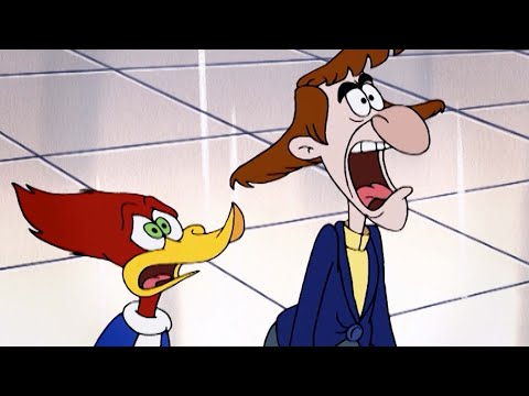 Woody Woodpecker | Couples Therapy + More Full Episodes