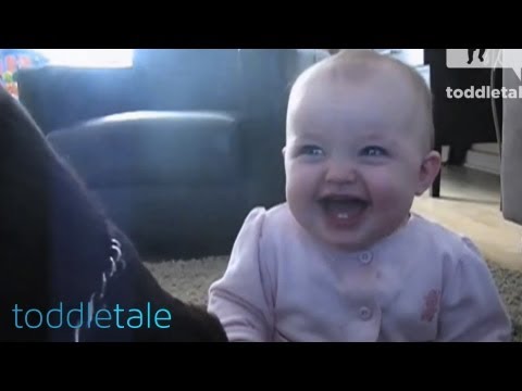 Baby Girl Laughing Hysterically at Dog Eating Popcorn | Laughing Babies | toddletale