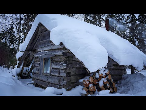 УЕХАЛ ЖИТЬ В СТАРУЮ  ИЗБУШКУ. ОГРОМНЫЕ ОКУНИ ГНУТ КРЮЧКИ. РЫБАЛКА.