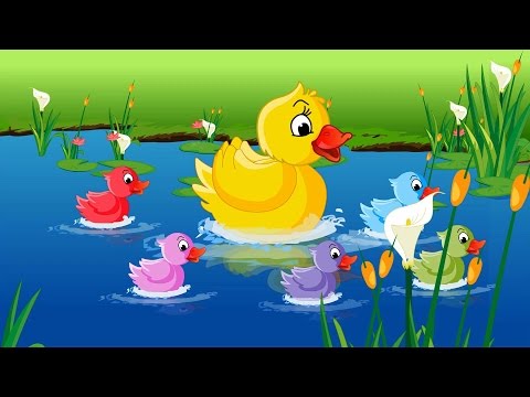 Five Little Ducks Nursery Rhyme | Songs for Children