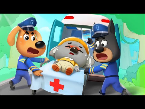 🔍Sheriff Labrador -🐨Peque&ntilde;o Koala Est&aacute; Desaparecido | Videos para Ni&ntilde;os | BabyBus en Espa&ntilde;ol