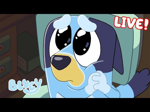 🔴LIVE: Best of Bluey Series 1! | FULL EPISODES | Bluey