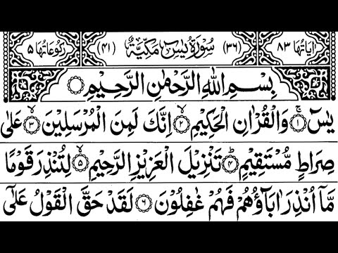 Surah Yaseen, سورۃ يٰسٓ&lrm;,  Ya-Sin Surah, ইয়া-সীন, Y&acirc;s&icirc;n, Yaa siin, Yaseen sharif tilawat, 25 Times,