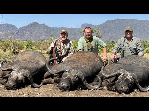 Uganda Buffalo &amp; Plainsgame Hunt 2021 Tim Herald/Jay Cohea Worldwide Trophy Adventures