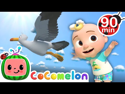 JJ having FUN with Sea Animals! | Animals for Kids | Animal Cartoons | Learn about Animals