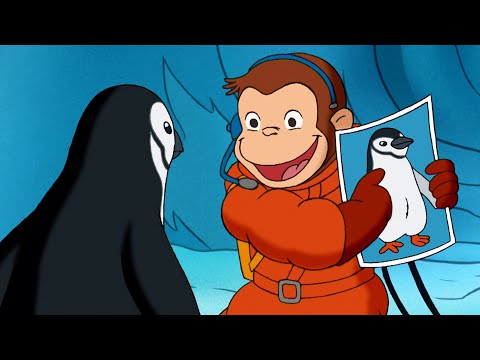 Cocos Suche nach Pinguinen | Coco der Neugierige | Cartoons f&uuml;r Kinder