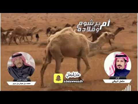 شيلة: جعل حي ماذكرني وانا اوده || أداء: مشعل الروقي