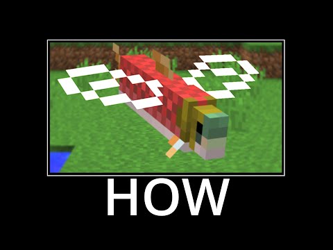 WAIT WHAT (Minecraft) #55