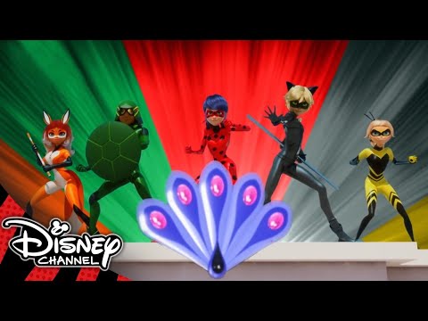 Miraculous Ladybug | All the Transformations So Far! ? | Disney Channel UK