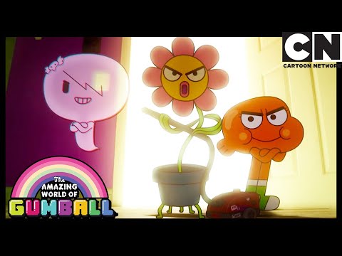 S&eacute;ance | The Flower | Gumball | Cartoon Network